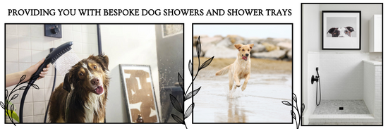 Dog Showers